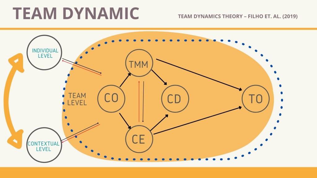 Team Dynamics Theory – Filho et. al. psicolodi dello sport stefania lucia